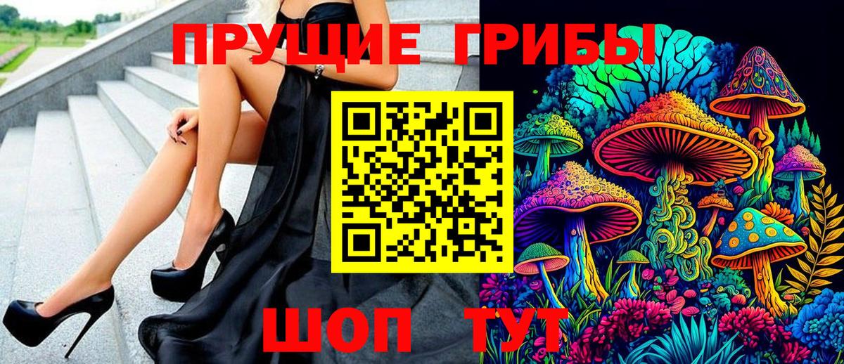 Дмитров  сколько стоит  Псилоцибиновые грибы MAGIC MUSHROOMS  Вход с VPN  Галлюциногенные грибы Psilocybe 